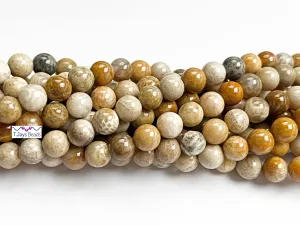 Fossil Coral | Round Beads | 8mm