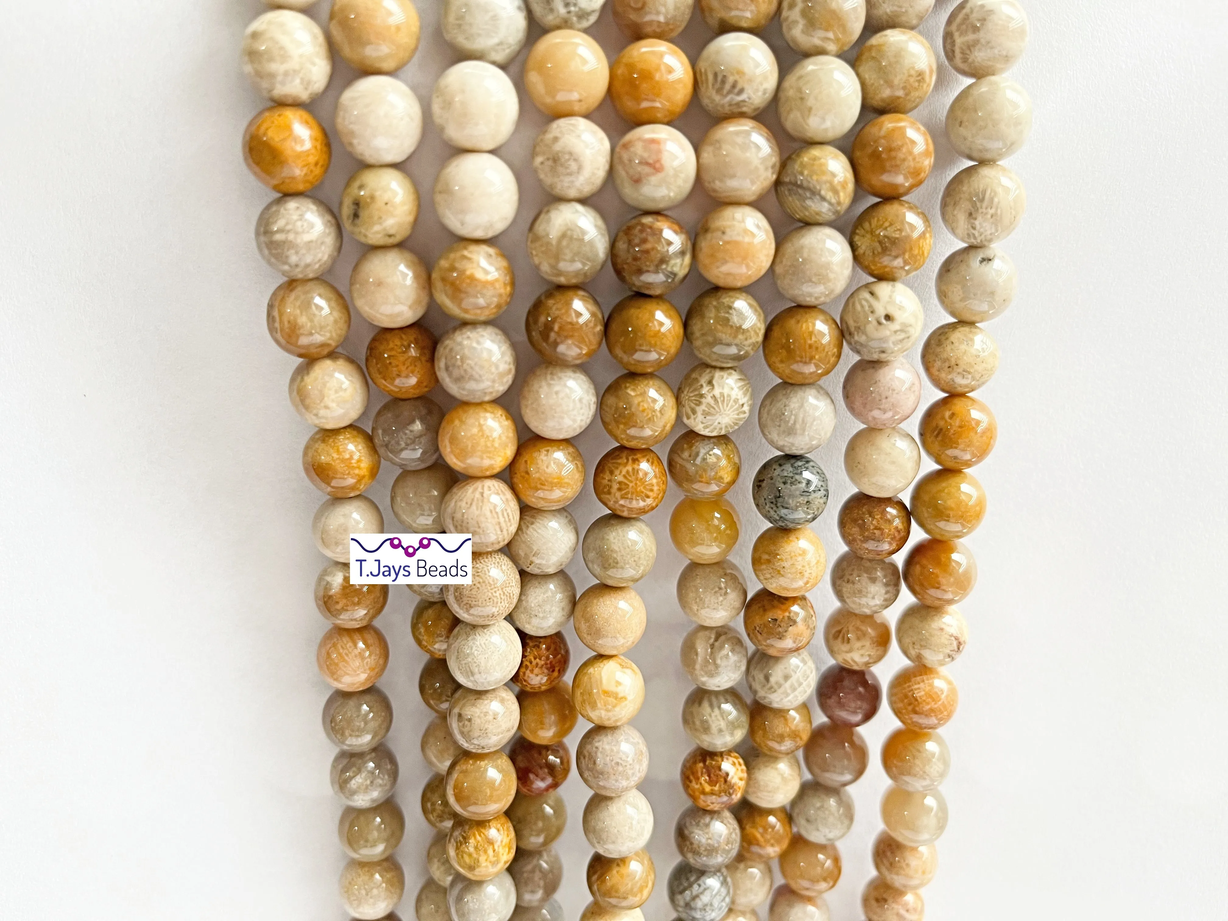 Fossil Coral | Round Beads | 8mm