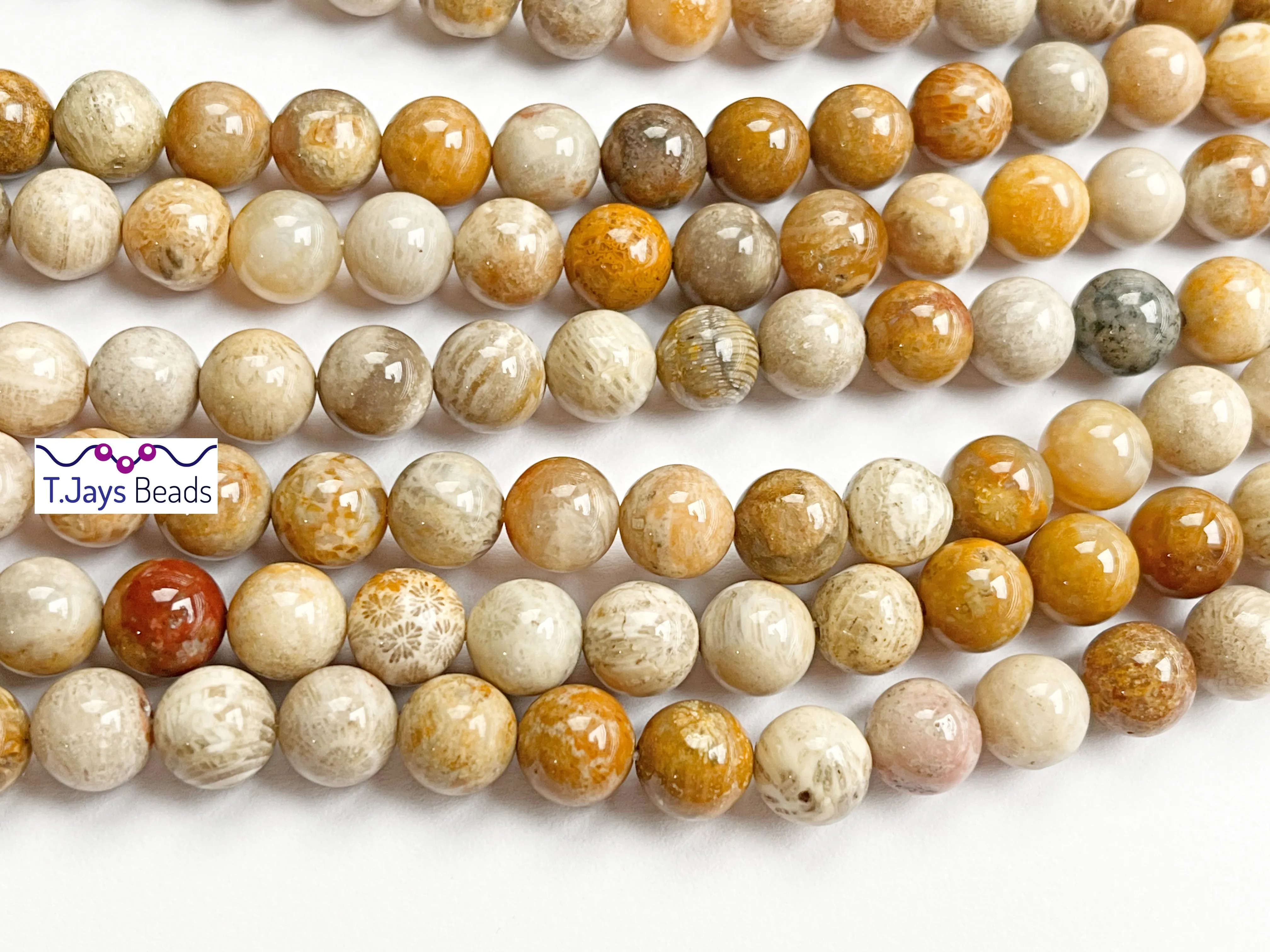 Fossil Coral | Round Beads | 8mm