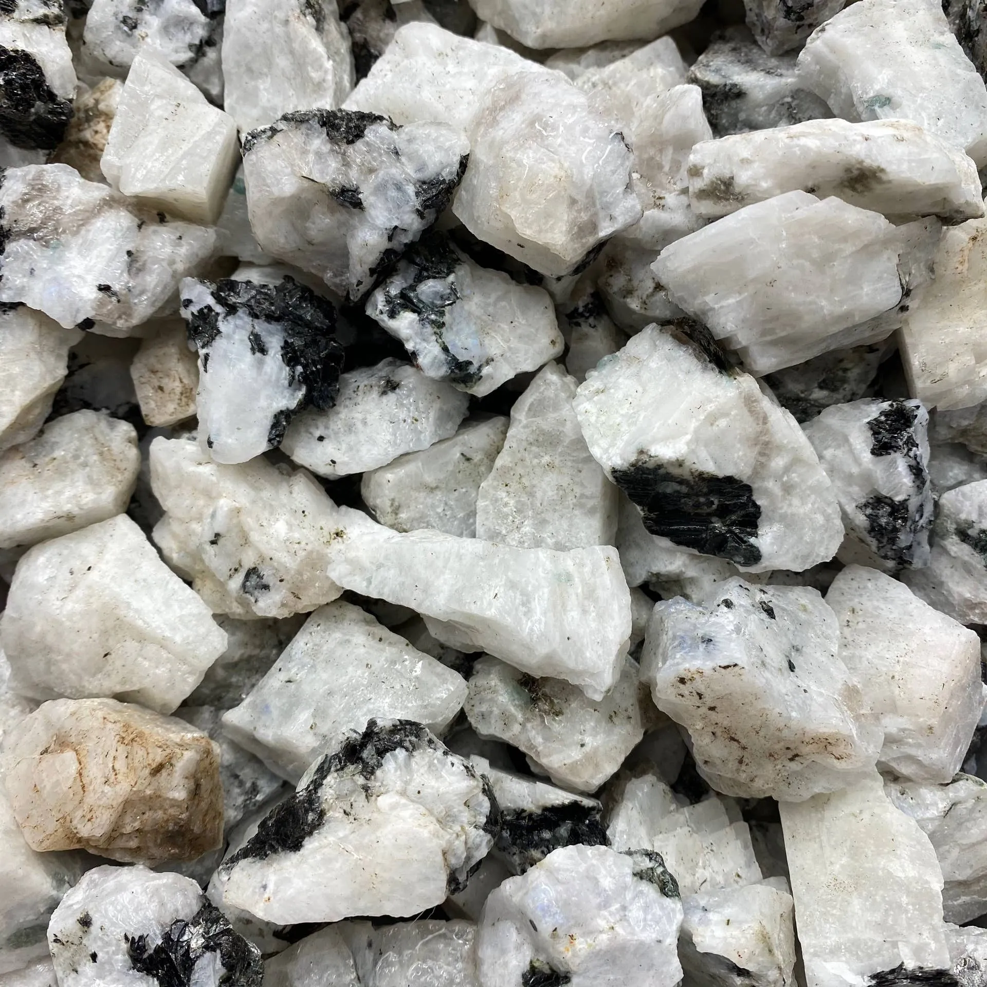 Moonstone, Rainbow - Raw